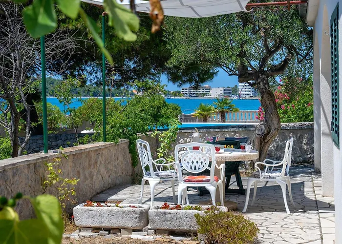 Stella רוגוזניצה