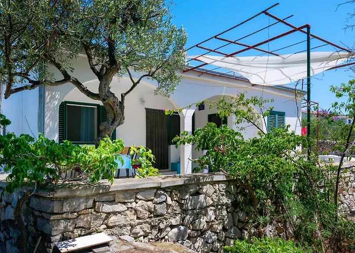 Stella * רוגוזניצה